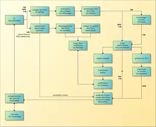 Photographie argentique : organisation type d'un laboratoire de façonnage industriel - crédits : Encyclopædia Universalis France