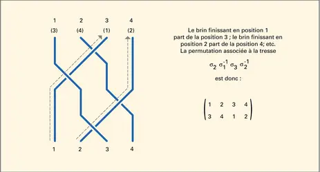 Permutation associée à une tresse. - crédits : Encyclopædia Universalis France