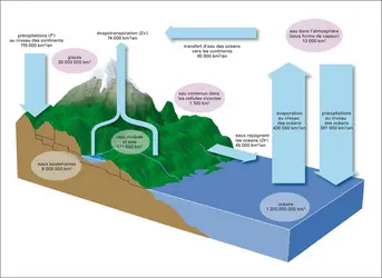 Cycle de l'eau - crédits : Encyclopædia Universalis France