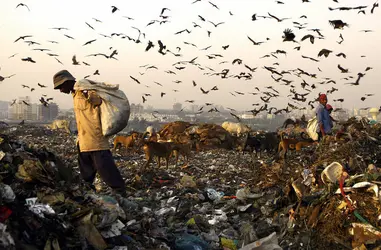 Décharge à New Delhi - crédits : Manpreet Romana/ AFP