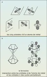 Champ cristallin - crédits : Encyclopædia Universalis France