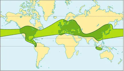 Aire de distribution du genre Quercus - crédits : Encyclopædia Universalis France