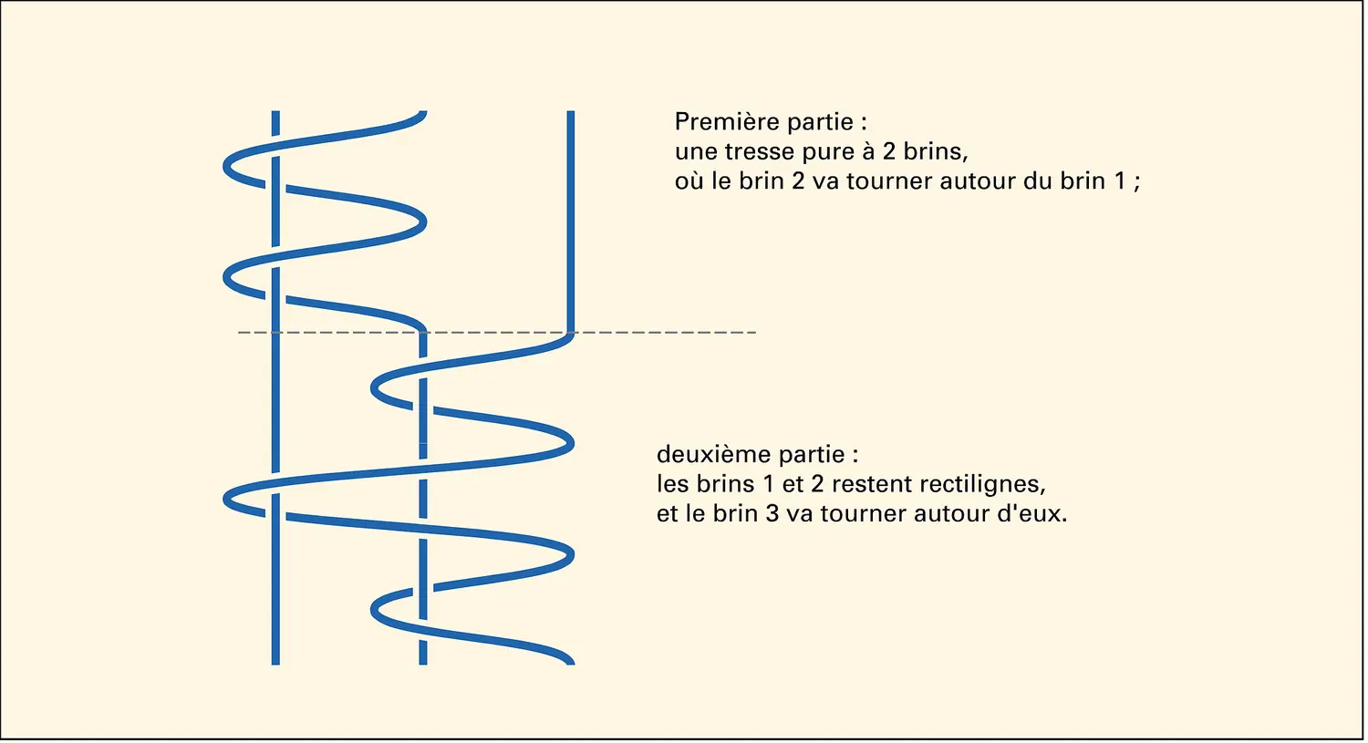 Peignage d'une tresse pure