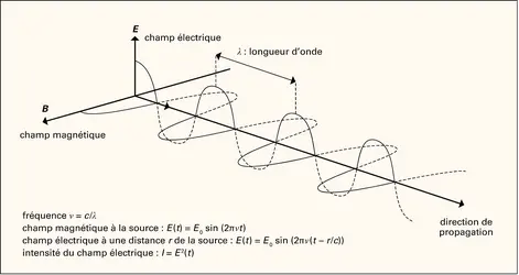 Lumière : propagation du champ électromagnétique - crédits : Encyclopædia Universalis France