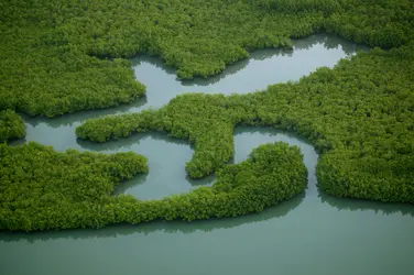 Archipel des Bijagós, Guinée-Bissau - crédits : Jean-François Hellio & Nicolas Van Ingen/ Biosphoto