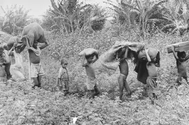 Immigration clandestine - crédits : Keystone/ Hulton Archive/ Getty Images