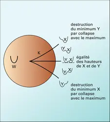 Complexité locale de type cusp, 2 - crédits : Encyclopædia Universalis France