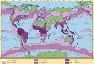 Production organique - crédits : Encyclopædia Universalis France