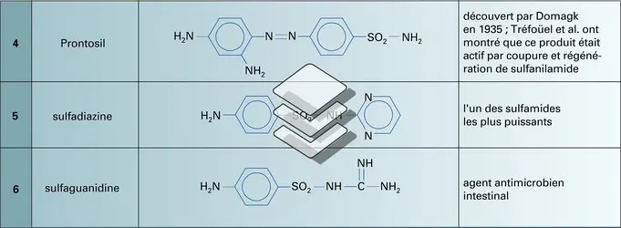 Sulfamides et des sulfones - crédits : Encyclopædia Universalis France