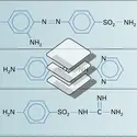 Sulfamides et des sulfones - crédits : Encyclopædia Universalis France