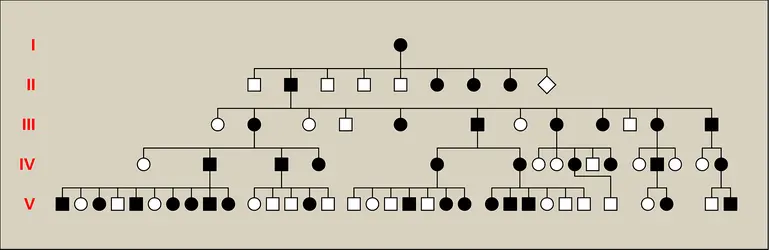 Hérédité familiale : arbre généalogique établi par Farabee en 1905 - crédits : Encyclopædia Universalis France