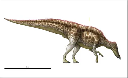 Shantungosaurus - crédits : Encyclopædia Universalis France