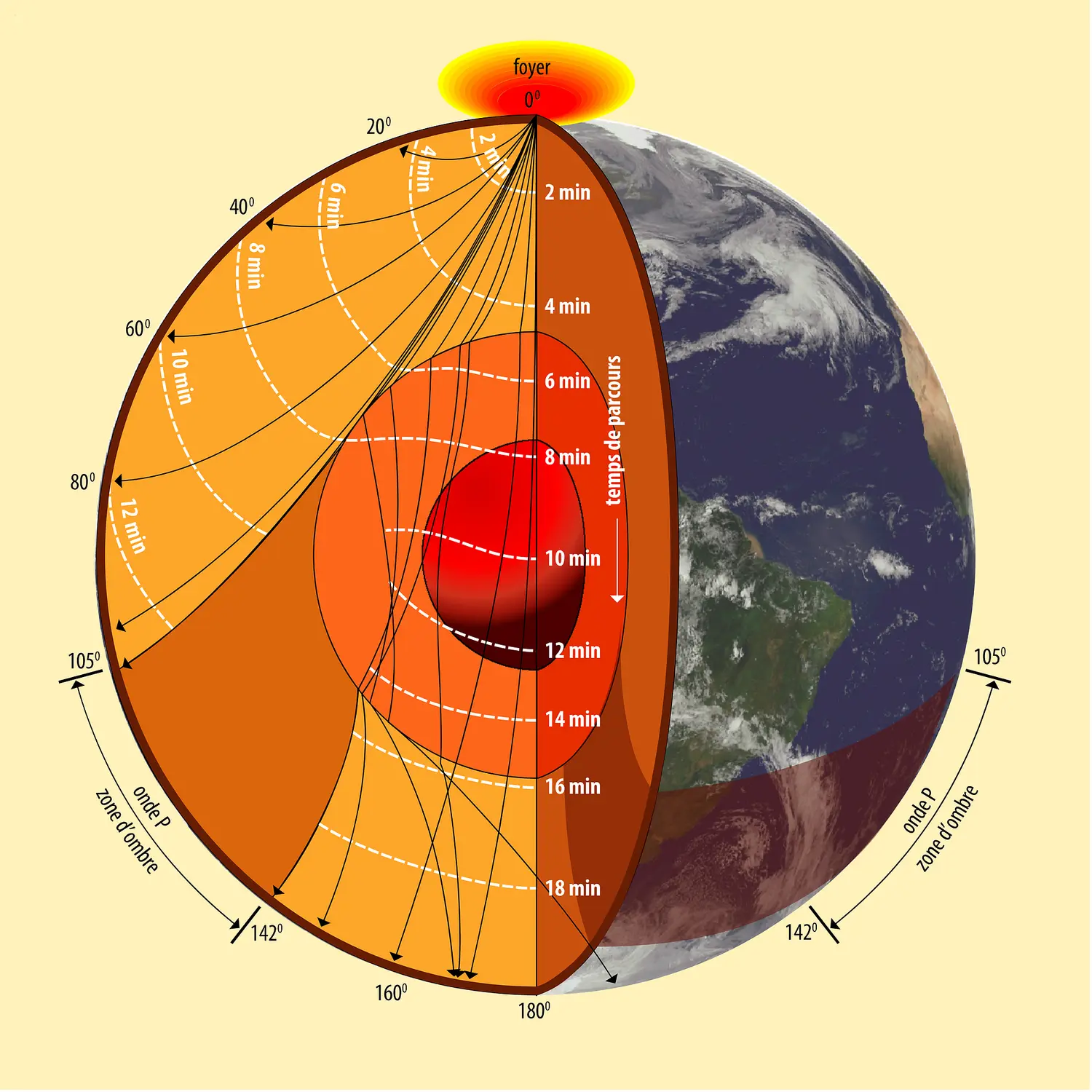 Rayons sismiques de type P traversant la Terre