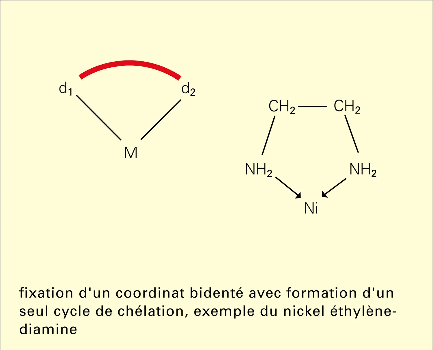 Chélation - vue 1