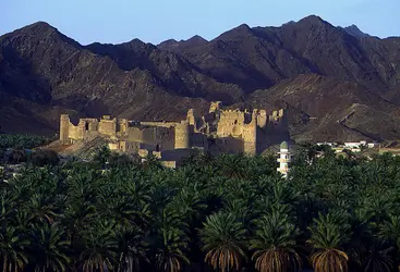 Palmeraie près de Bahla, Oman - crédits : C. Sappa/ De Agostini/ Getty Images