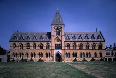 Musée d'histoire naturelle, université d'Oxford - crédits :  Bridgeman Images 