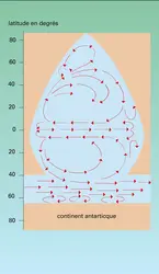 Circulation de surface - crédits : Encyclopædia Universalis France