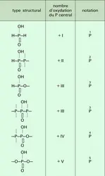 Oxoacides : combinaisons structurales - crédits : Encyclopædia Universalis France