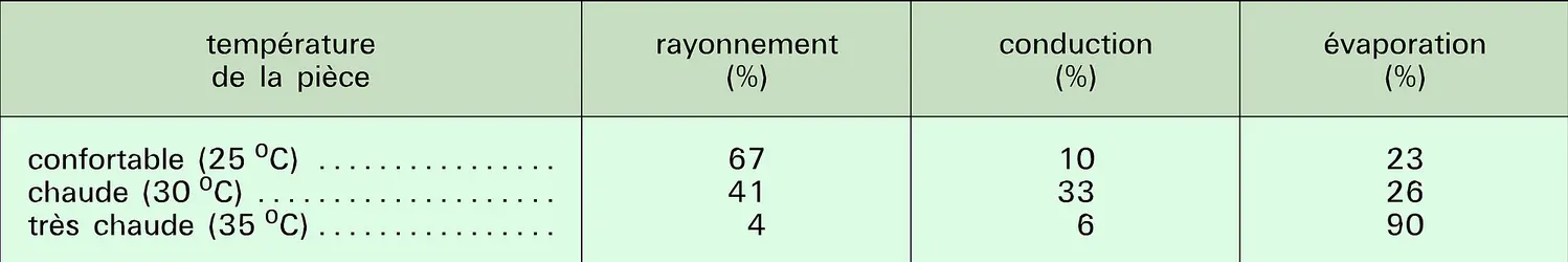 Pertes par rayonnement, conduction et évaporation - crédits : Encyclopædia Universalis France