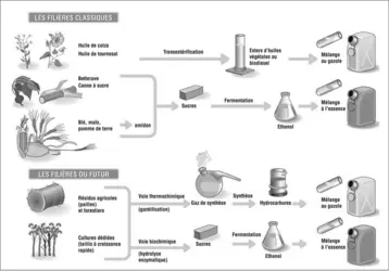 Biocarburants : filières - crédits : Encyclopædia Universalis France