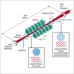 Laser à électrons libres : principe - crédits : Encyclopædia Universalis France