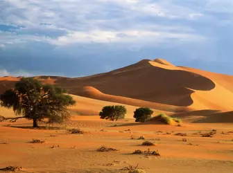 Désert du Namib - crédits : John Chard/ Getty Images