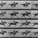 <em>Étude de la course du cheval</em>, E. Muybridge - crédits : Eadweard Muybridge/ Hulton Archive/ Getty Images