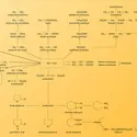 Acétylène : «arbre» - crédits : Encyclopædia Universalis France