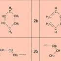 Cyclohexène et polyprène - crédits : Encyclopædia Universalis France