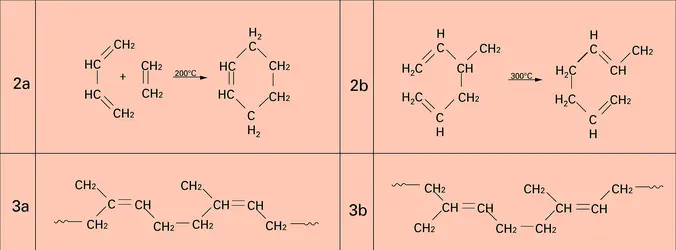 Cyclohexène et polyprène - crédits : Encyclopædia Universalis France