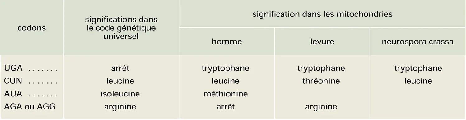 Code génétique : modification