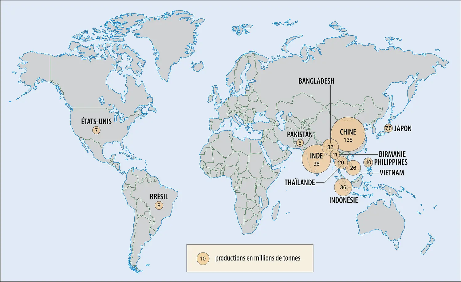 Riz : principaux producteurs
