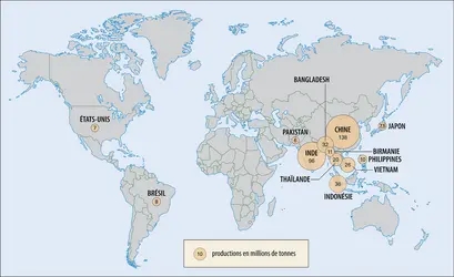 Riz : principaux producteurs
 - crédits : Encyclopædia Universalis France