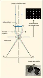 Microscope : la lentille objectif - crédits : Encyclopædia Universalis France