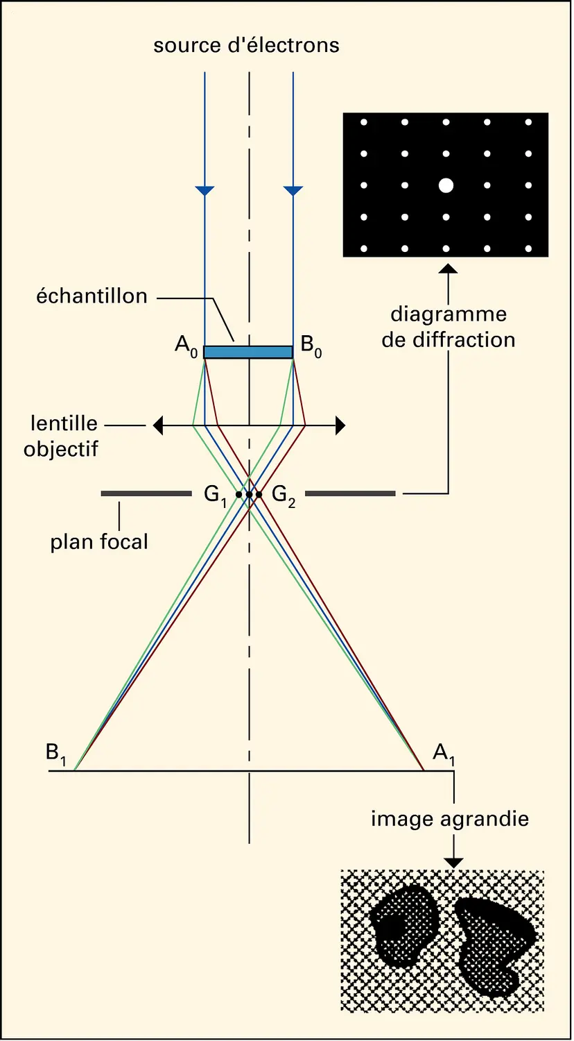 Microscope : la lentille objectif