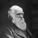 Charles Darwin - crédits : Spencer Arnold/ Getty Images