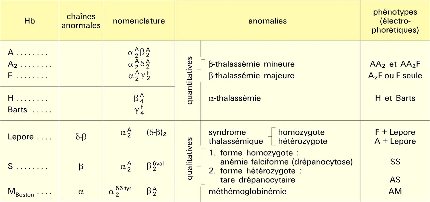 Hémoglobines et hémoglobinoses