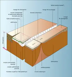 Marge de coulissage : bloc diagramme - crédits : Encyclopædia Universalis France