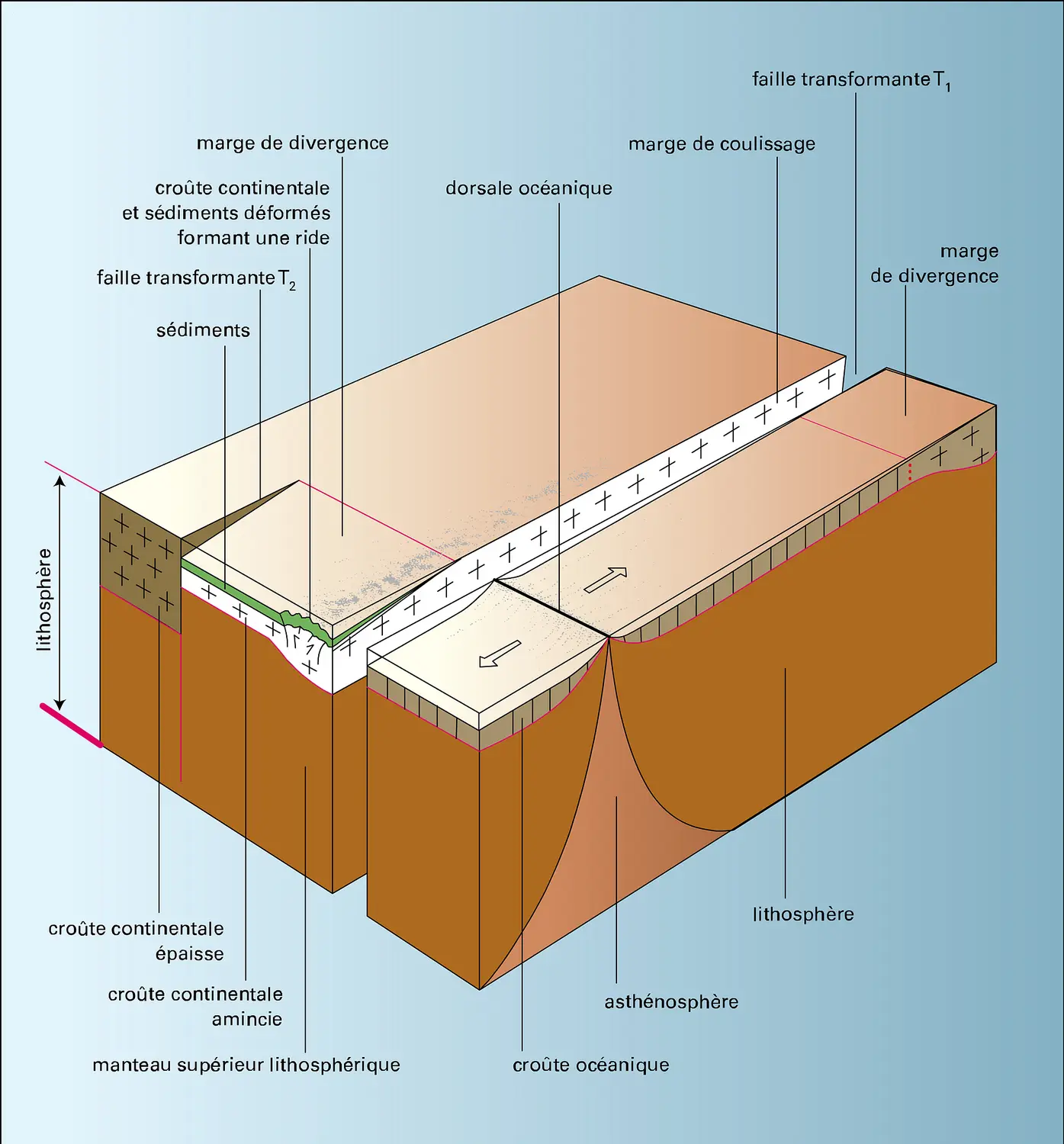 Marge de coulissage : bloc diagramme