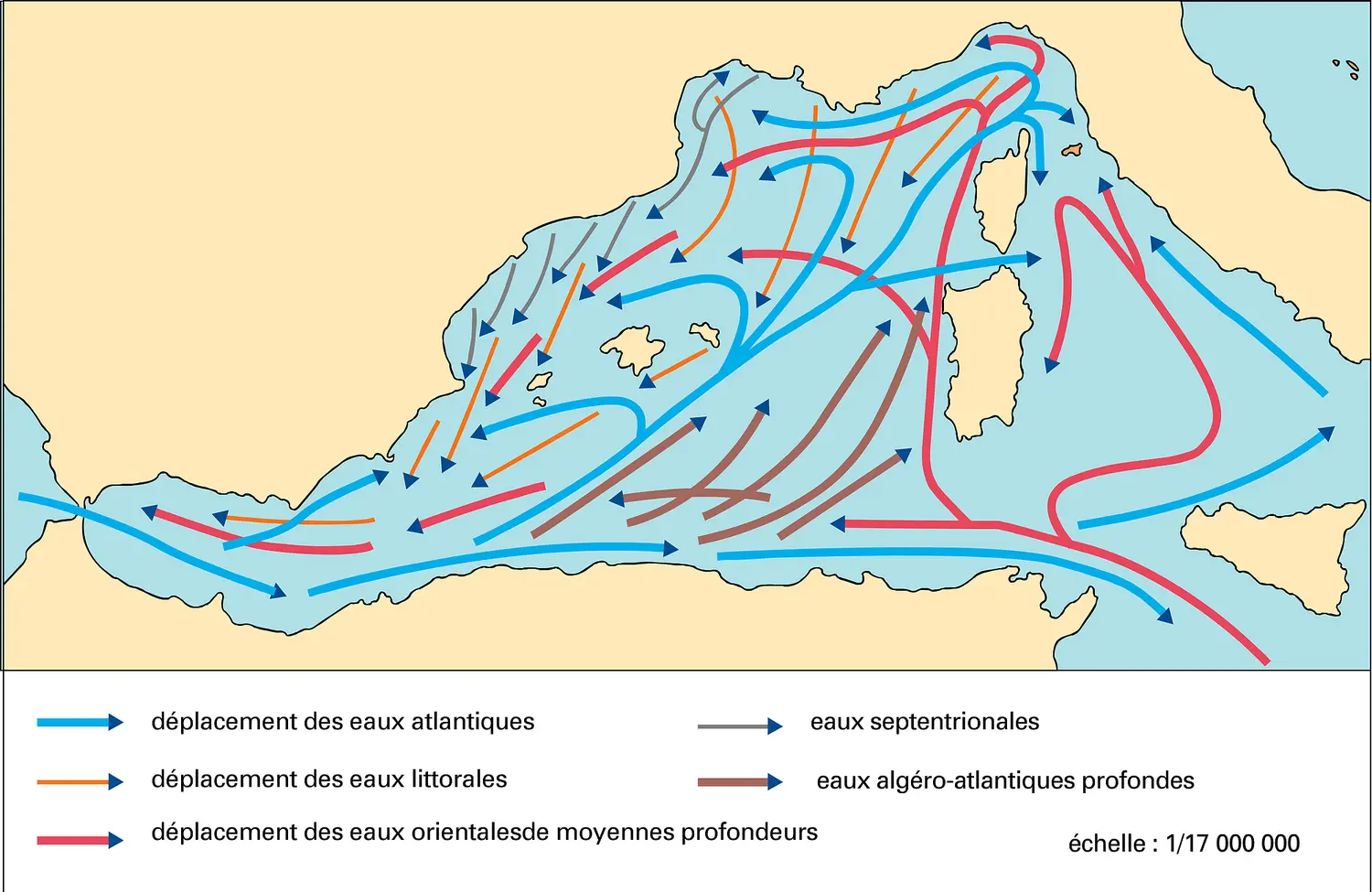 Méditerranée occidentale : mouvement des masses d'eaux