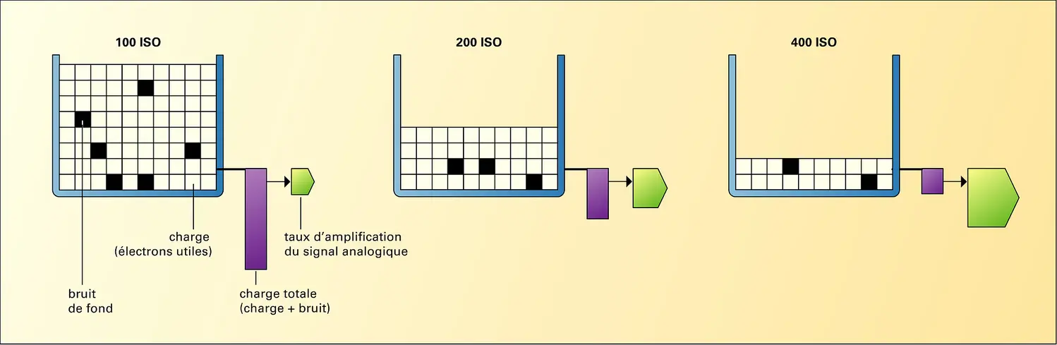 Photographie numérique : sensibilité des capteurs et amplification du signal analogique