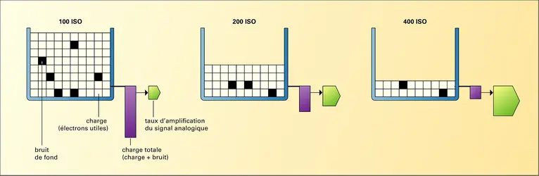 Photographie numérique : sensibilité des capteurs et amplification du signal analogique - crédits : Encyclopædia Universalis France