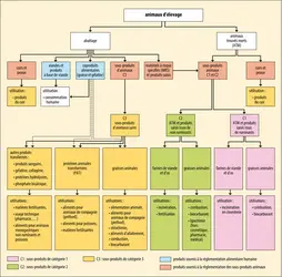 Filière des sous-produits animaux - crédits : Encyclopædia Universalis France