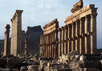 Grande colonnade de Palmyre, Syrie - crédits : Louise Norton,  Bridgeman Images 