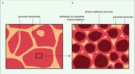 Porosité - crédits : Encyclopædia Universalis France