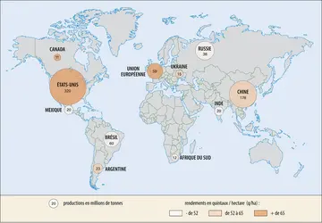 Maïs&nbsp;: principaux producteurs (2009-2010) - crédits : Encyclopædia Universalis France