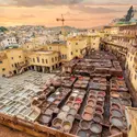 Tanneries à Fès, Maroc - crédits : Mitzo/ Shutterstock