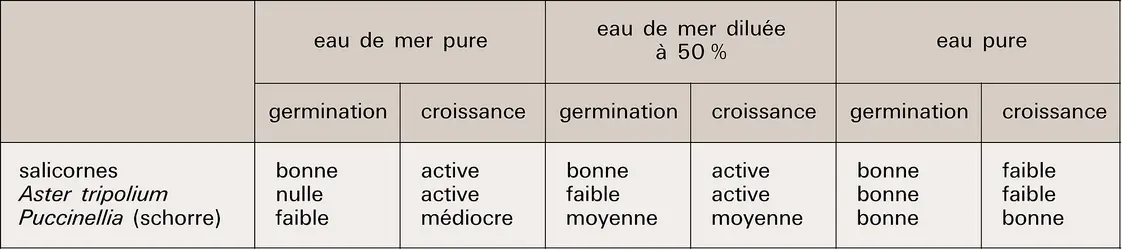 Halophytes : sensibilité au sel - crédits : Encyclopædia Universalis France