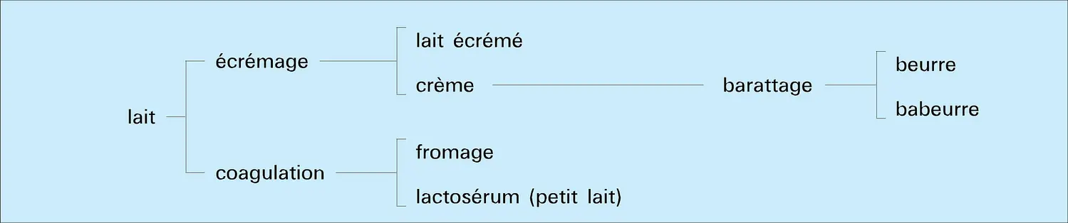 Sous-produits laitiers