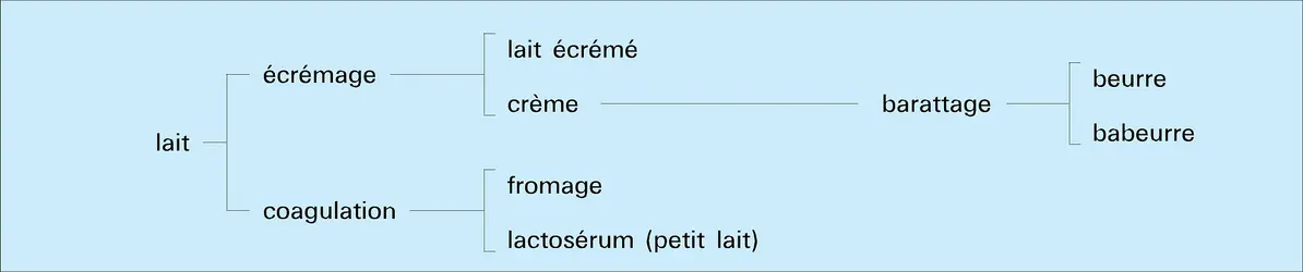 Sous-produits laitiers - crédits : Encyclopædia Universalis France